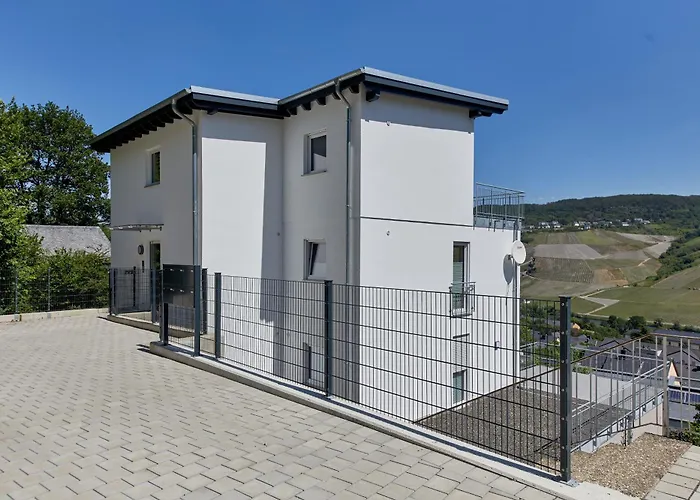 Henri * ベルンカステル・クース